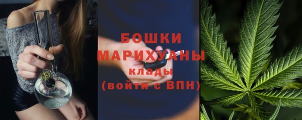 гашик Зеленокумск