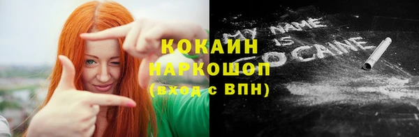 гашик Зеленокумск