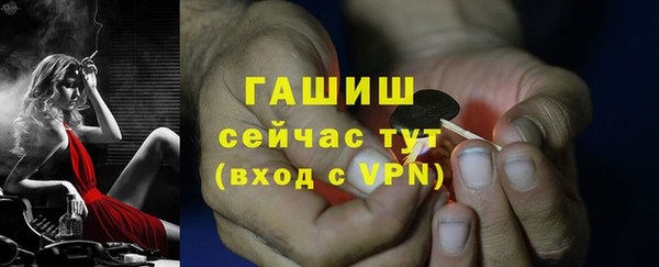 гашик Зеленокумск