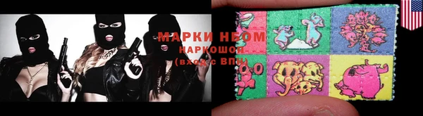 гашик Зеленокумск